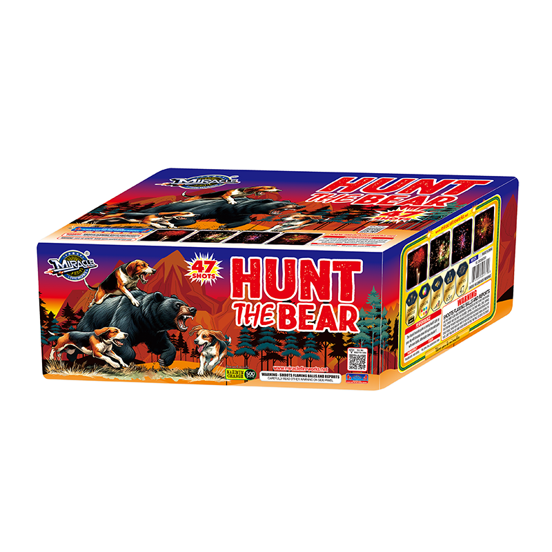 HUNT THE BEAR