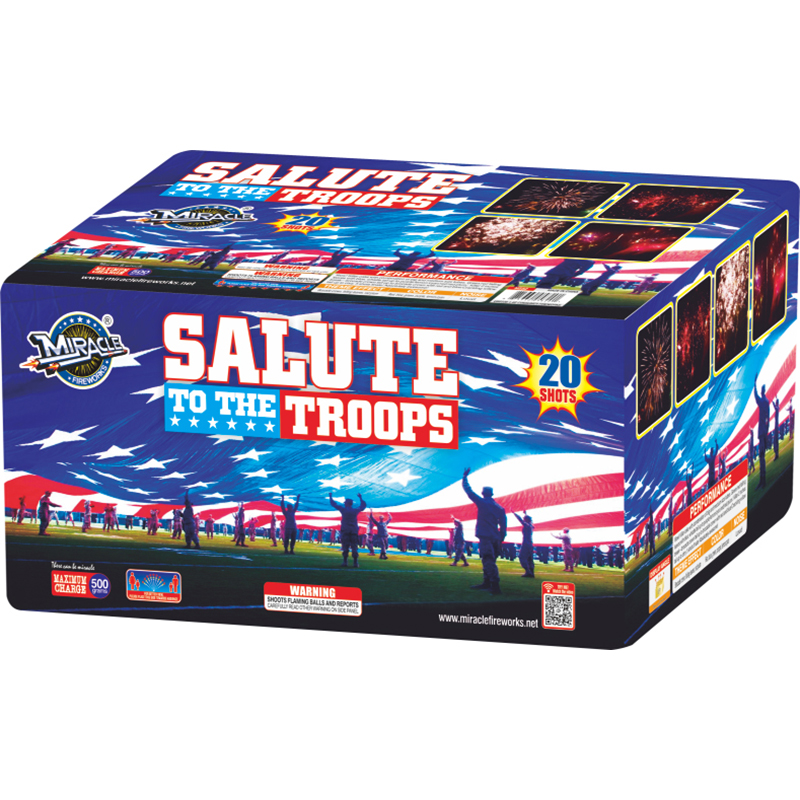 SALUTE TO THE TROOPS